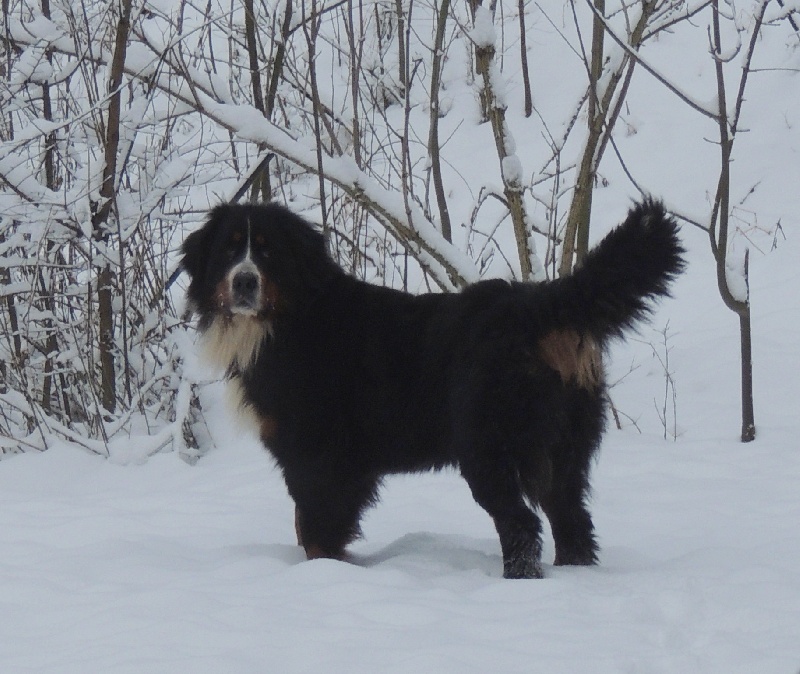 Elanka de la Lumière d'Eden